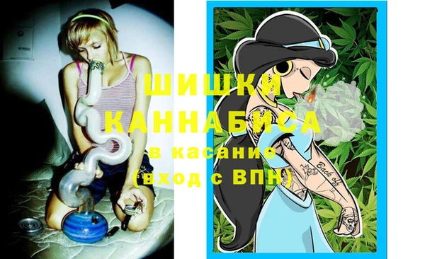 гидропоника Вязьма