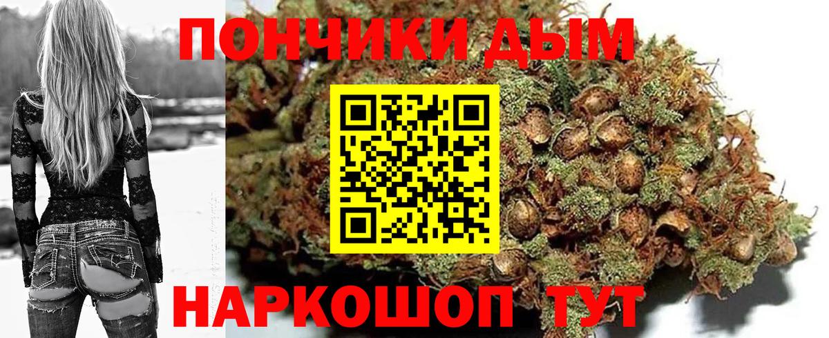 Бошки Шишки семена Муром
